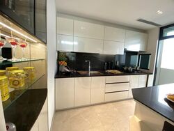 Belgravia Ace (D28), Terrace #611535421